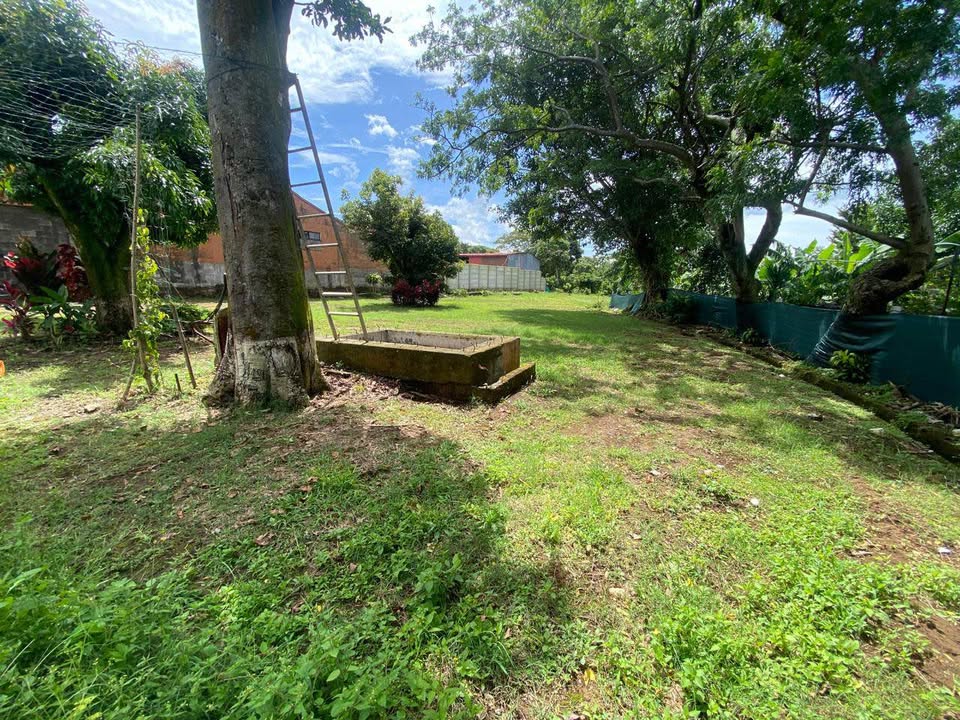 Lotes en Venta en San Roque, Grecia