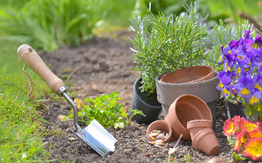 Jardineria