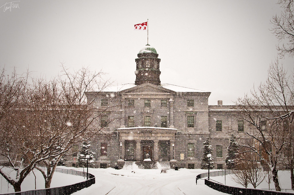 Beca de Doctorado en Canadá – McGill University