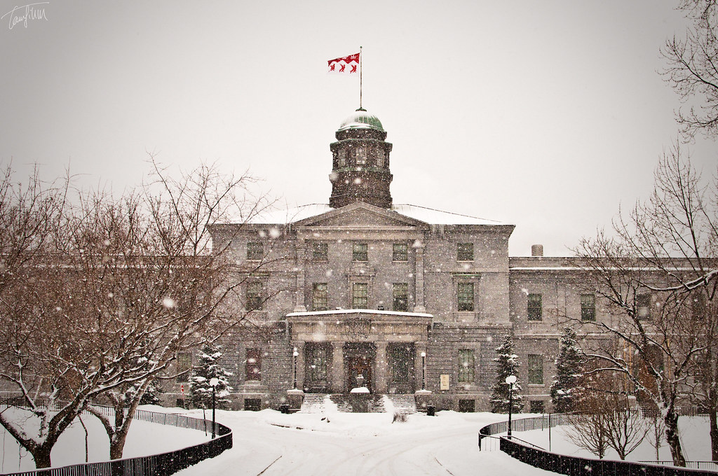 Beca de Doctorado en Canadá – McGill University