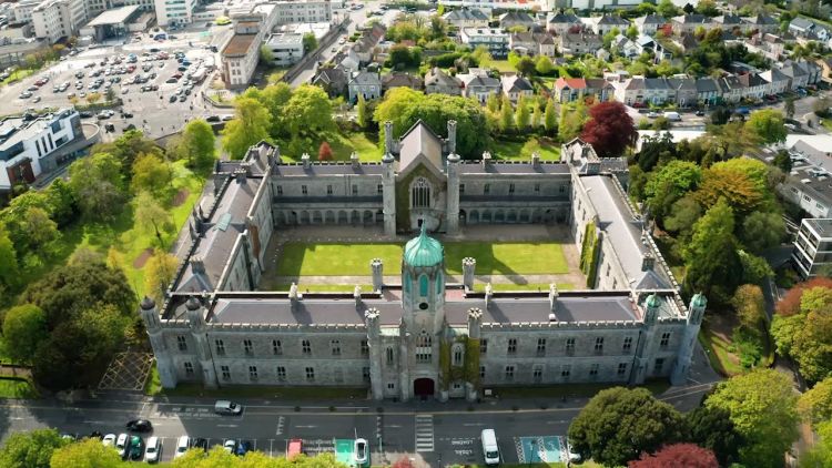 Beca De Doctorado En Irlanda