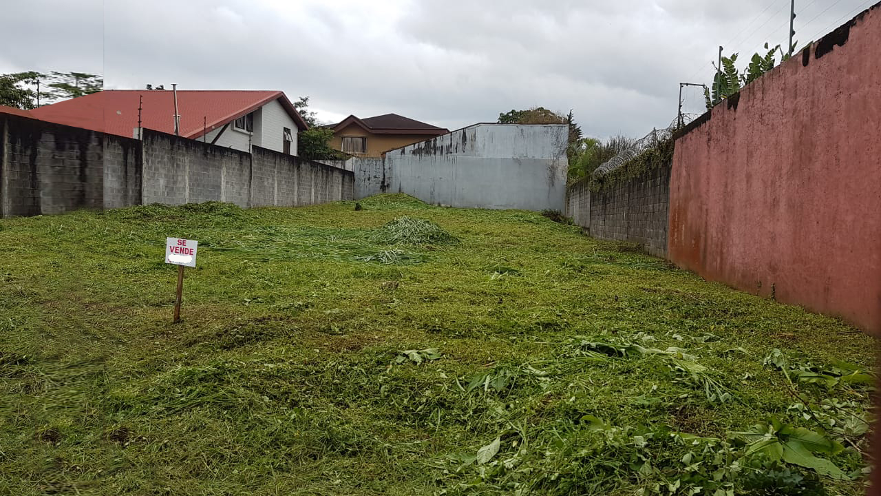 TERRENO PARA INVERSION CURRIDABAT ALTAMONTE
