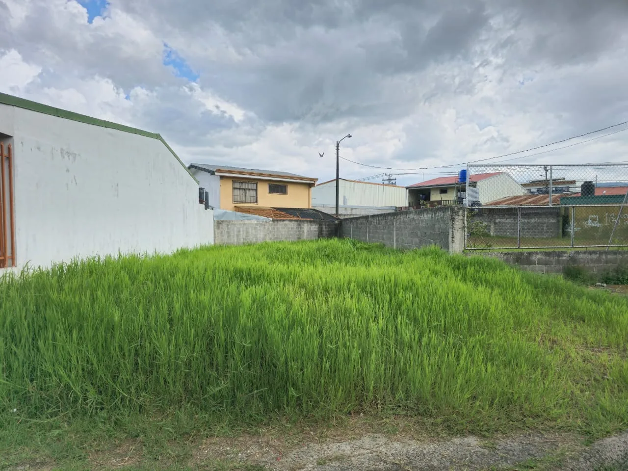 Lote en venta la Pitahaya Cartago. - foto 3