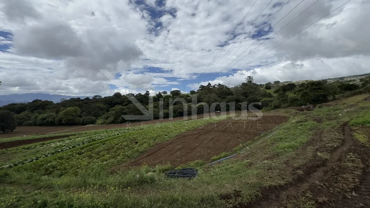 Venta de Lote en Paso Ancho de Oreamuno.