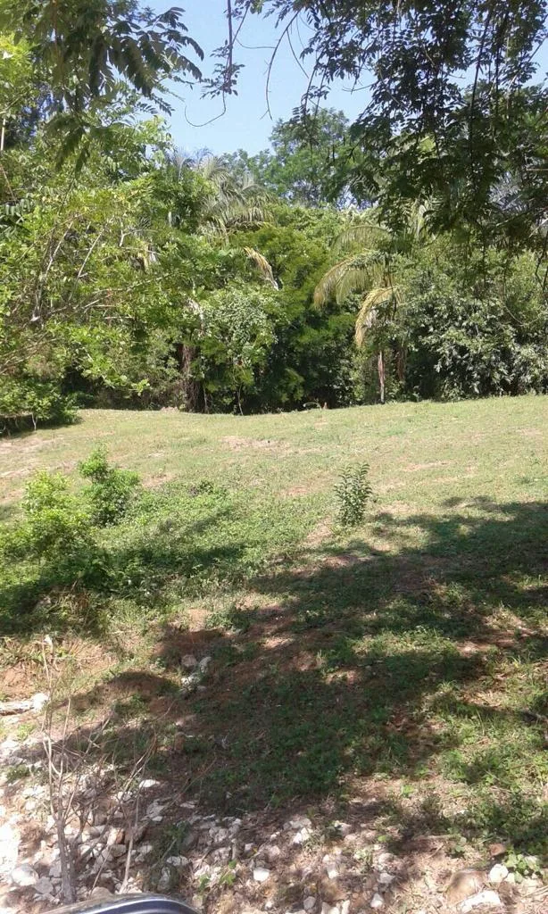 Propiedad en Venta en Matapalo de Quepos
