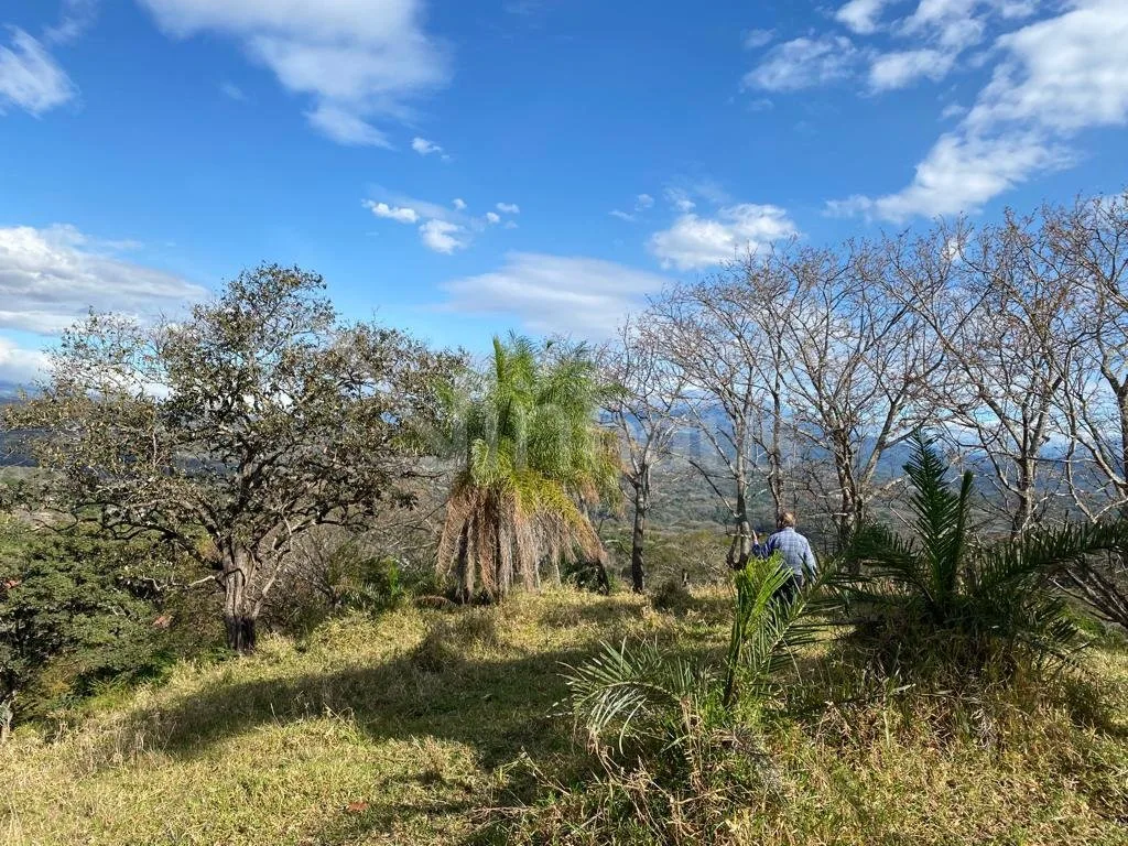 Venta de finca con hermosa vista en zona alta de Atenas Alajuela - foto 4