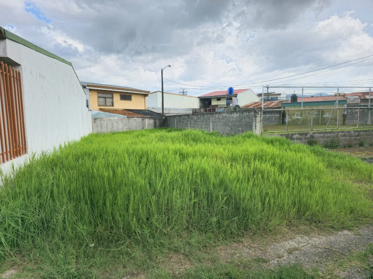 Lote en venta la Pitahaya Cartago. - foto 2