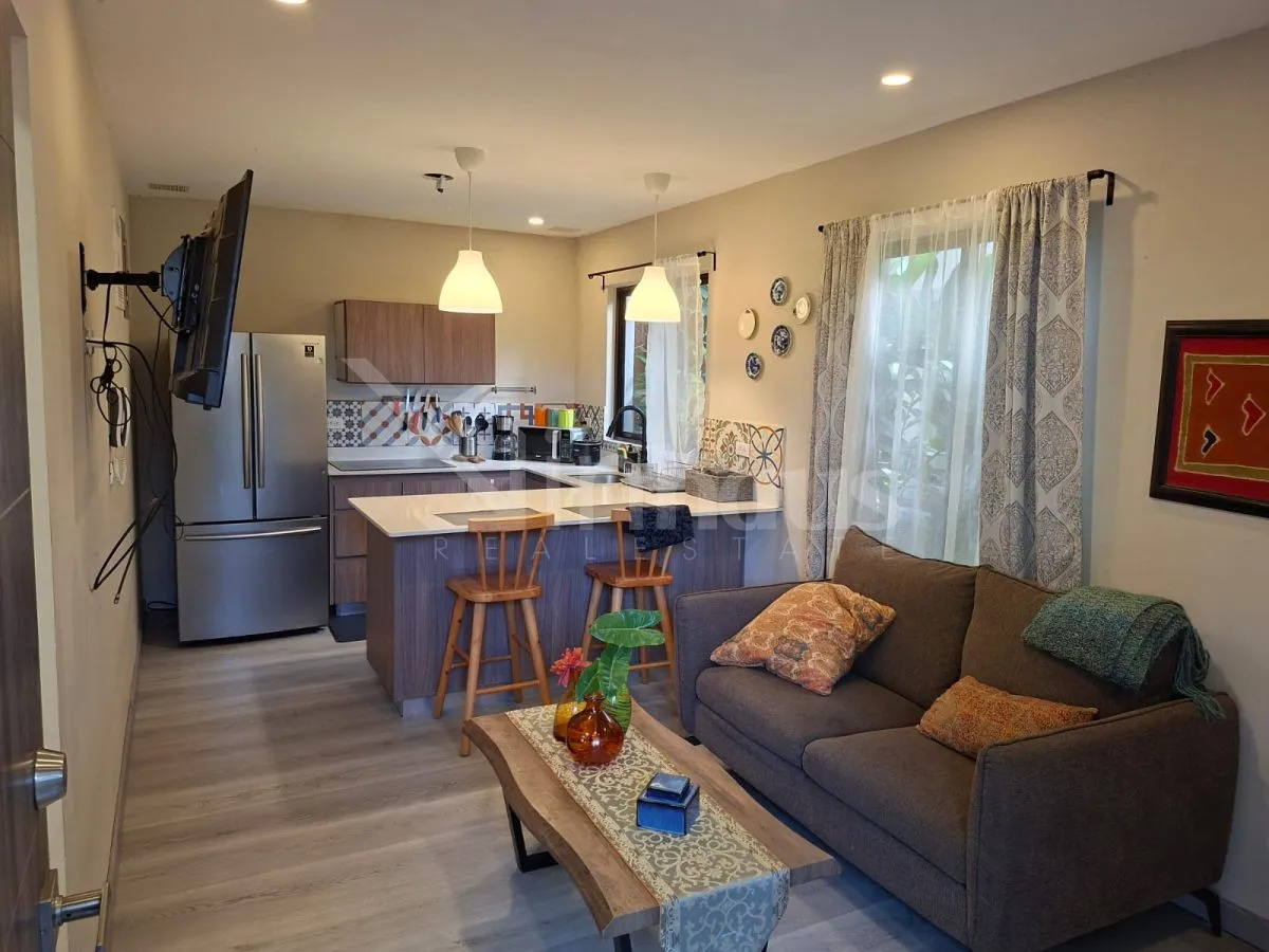 Alquiler de apartamento amueblado y equipado para 1 persona en Escazú, incluye servicios - foto 4