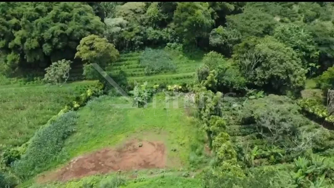 Lindo lote en venta en Grecia, Santa Gertrudes norte en calle Arena - foto 4