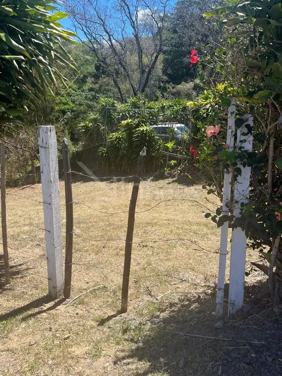 Venta de hermosa propiedad en Ciudad Colon - foto 4