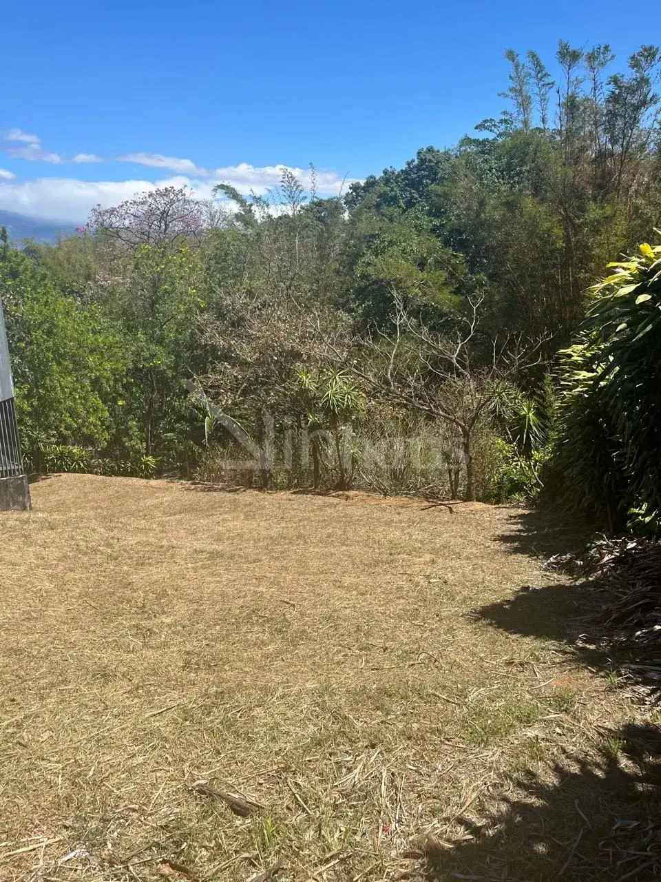 Venta de hermosa propiedad en Ciudad Colon - foto 5