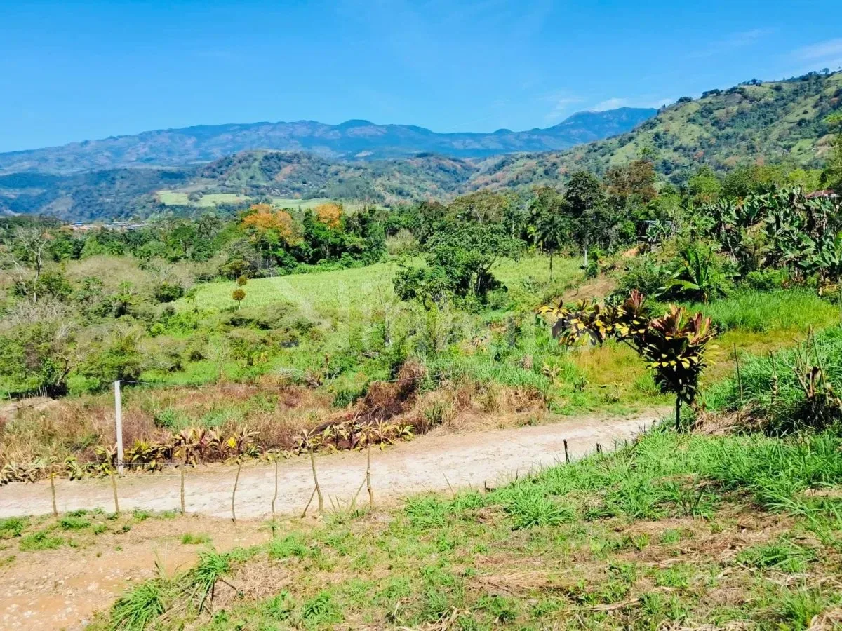 Lote en Tucurrique de Cartago - foto 3