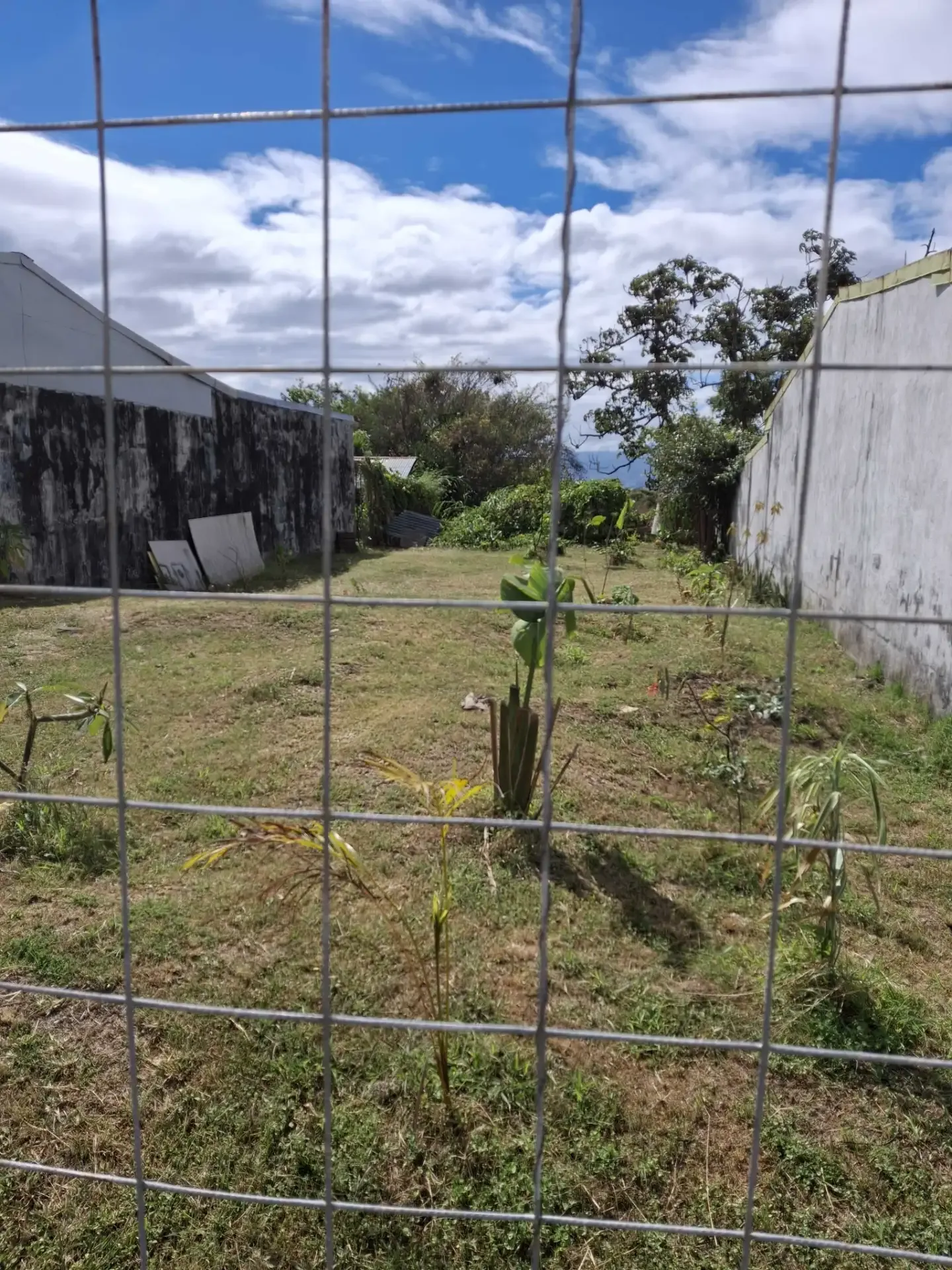 VENDO LOTE EN BARVA CENTRO - foto 4