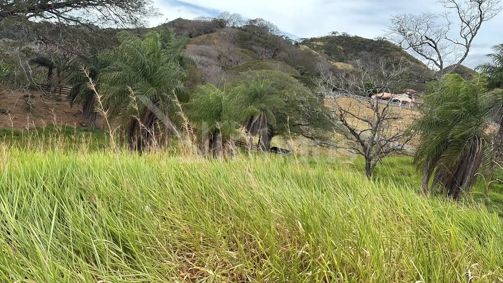 Venta de finca con hermosa vista en zona alta de Atenas Alajuela - foto 2