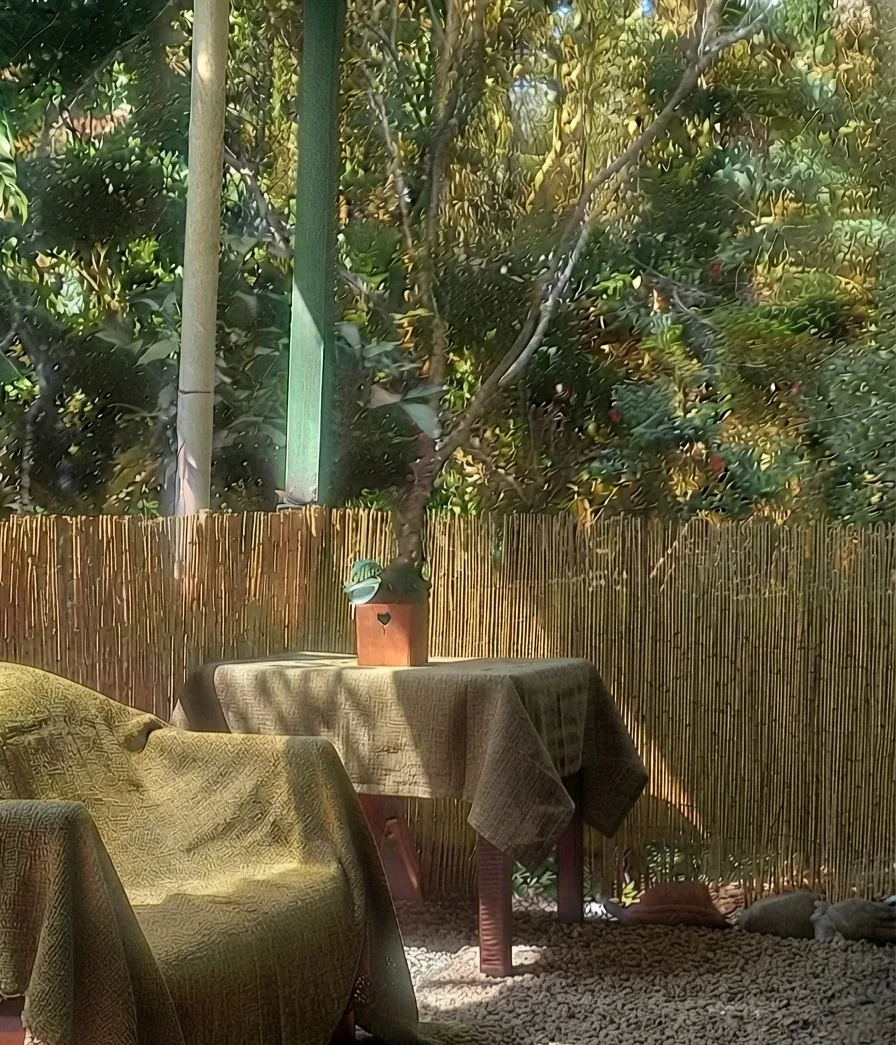 Pura Vida Dream - foto 3