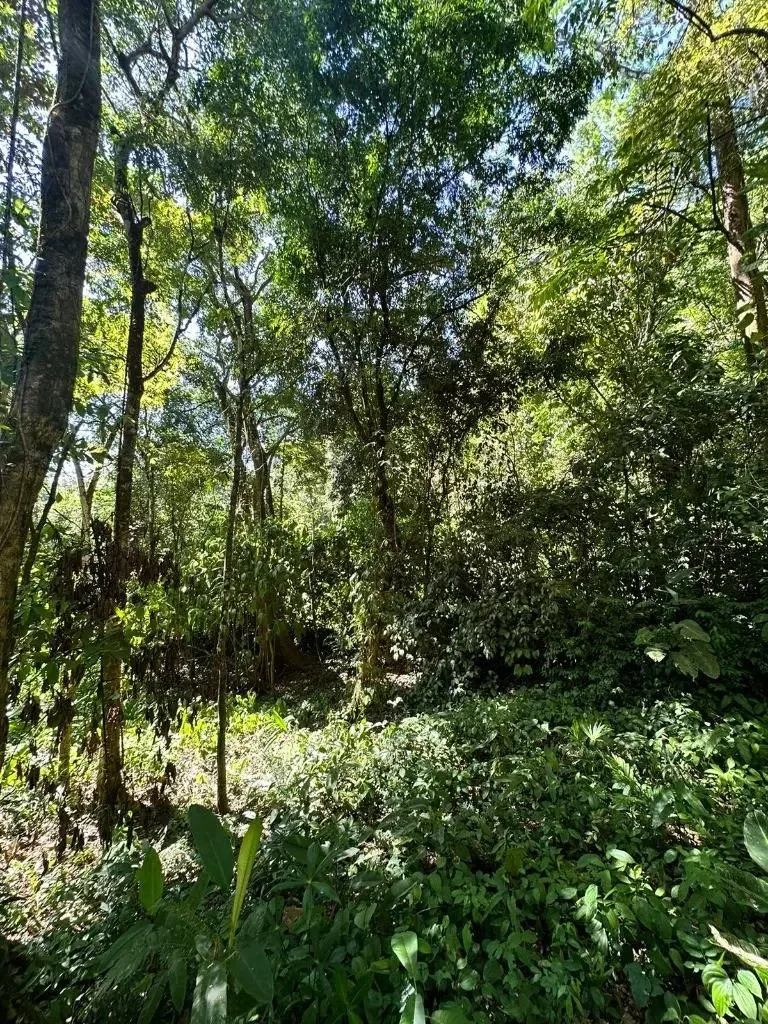Oportunidad Única! Propiedad en Venta en Playa Hermosa - foto 2