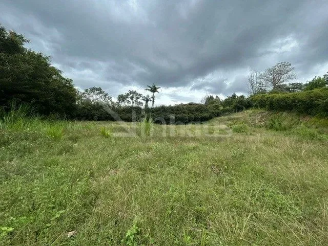 Lote en Venta, Monteran, Curridabat - foto 3