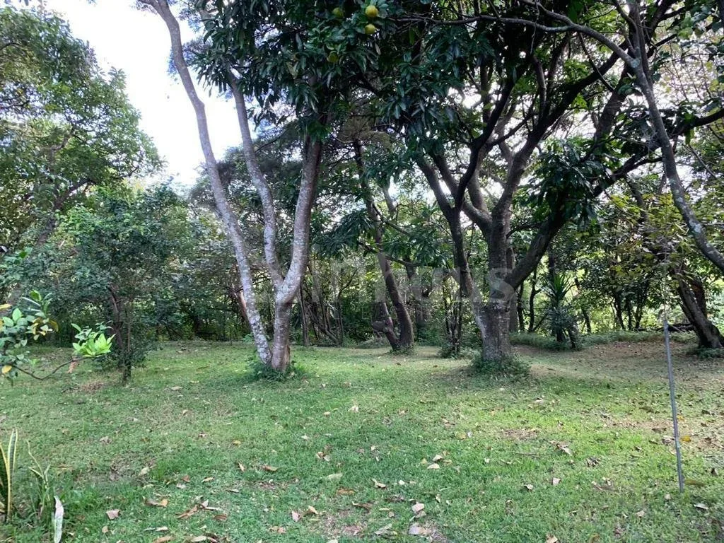 Lote para Desarrollo Residencial en zona de Alta plusvalia en Escazu - foto 6
