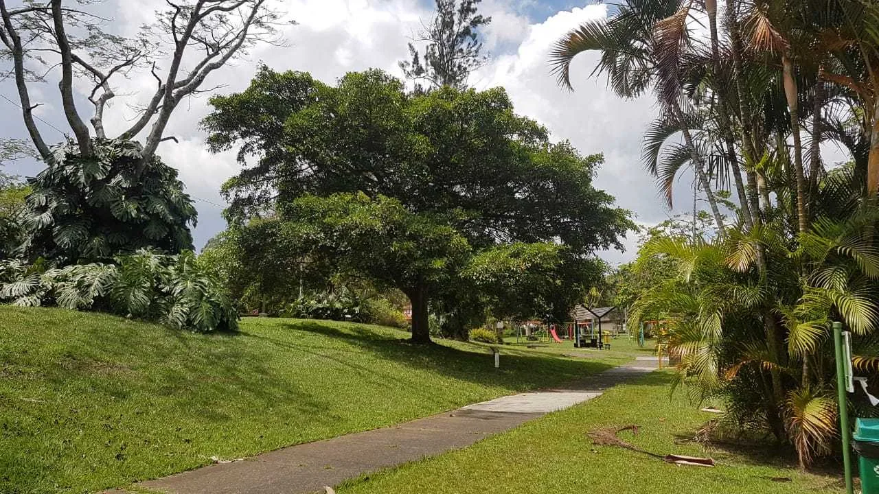 TERRENO PARA INVERSION CURRIDABAT ALTAMONTE - foto 4