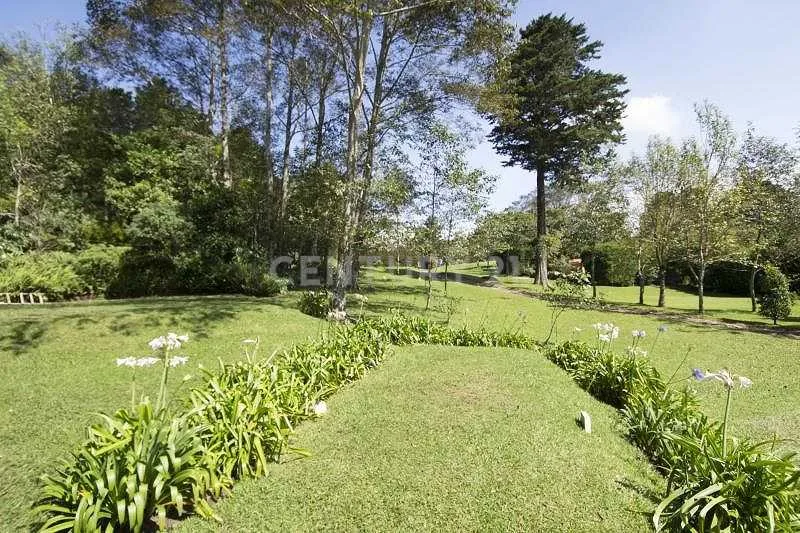 VENTA DE HERMOSA QUINTA - foto 4