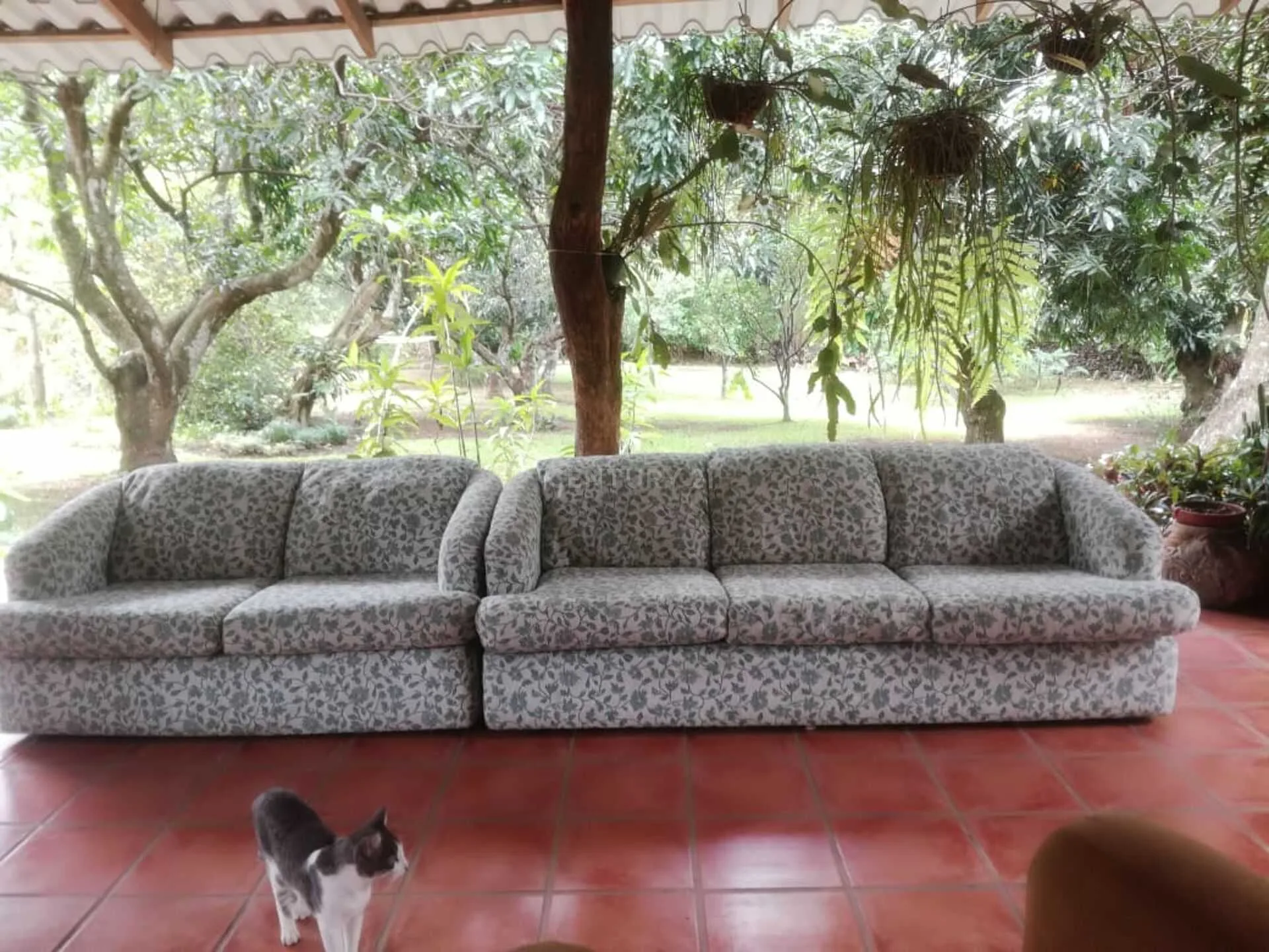 VENTA DE QUINTA EN LOS LAGOS DEL COYOL, PRECIO NEGOCIABLE - foto 6