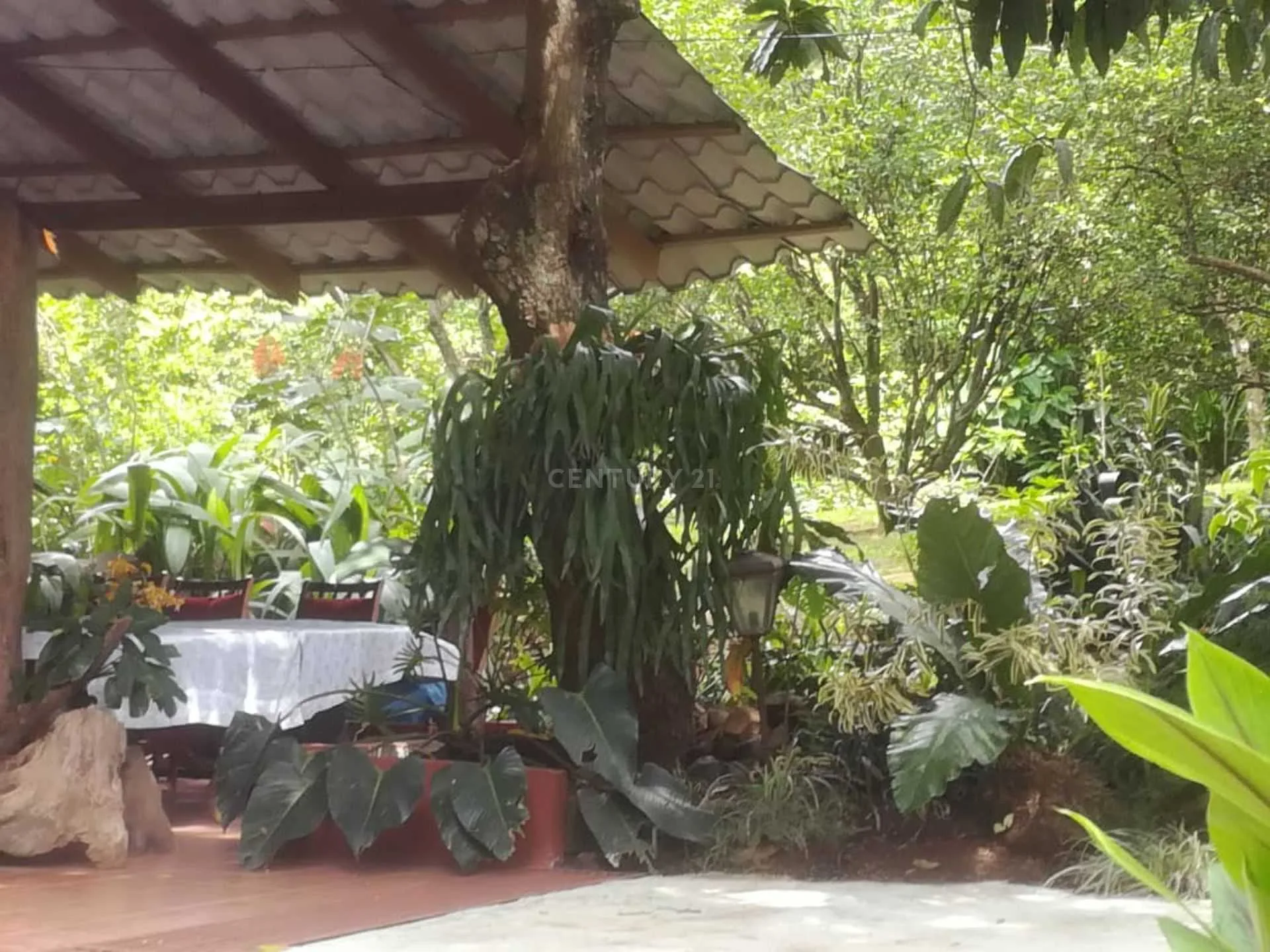 VENTA DE QUINTA EN LOS LAGOS DEL COYOL, PRECIO NEGOCIABLE - foto 4