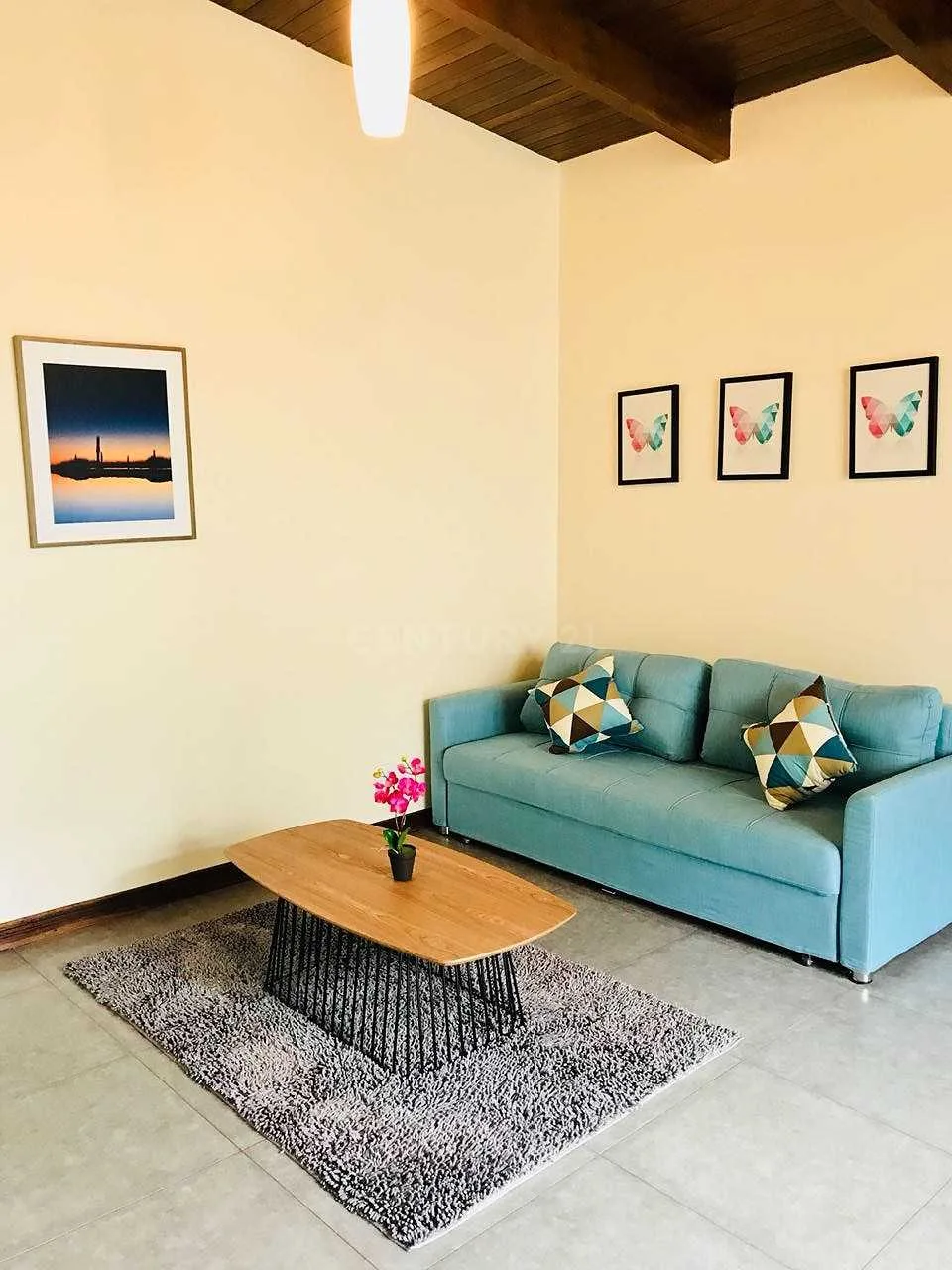 VENTA DE COMPLEJO DE APARTAMENTOS PARA INVERSIONISTAS - foto 5