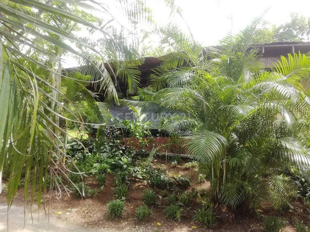VENTA DE QUINTA EN LOS LAGOS DEL COYOL, PRECIO NEGOCIABLE - foto 4
