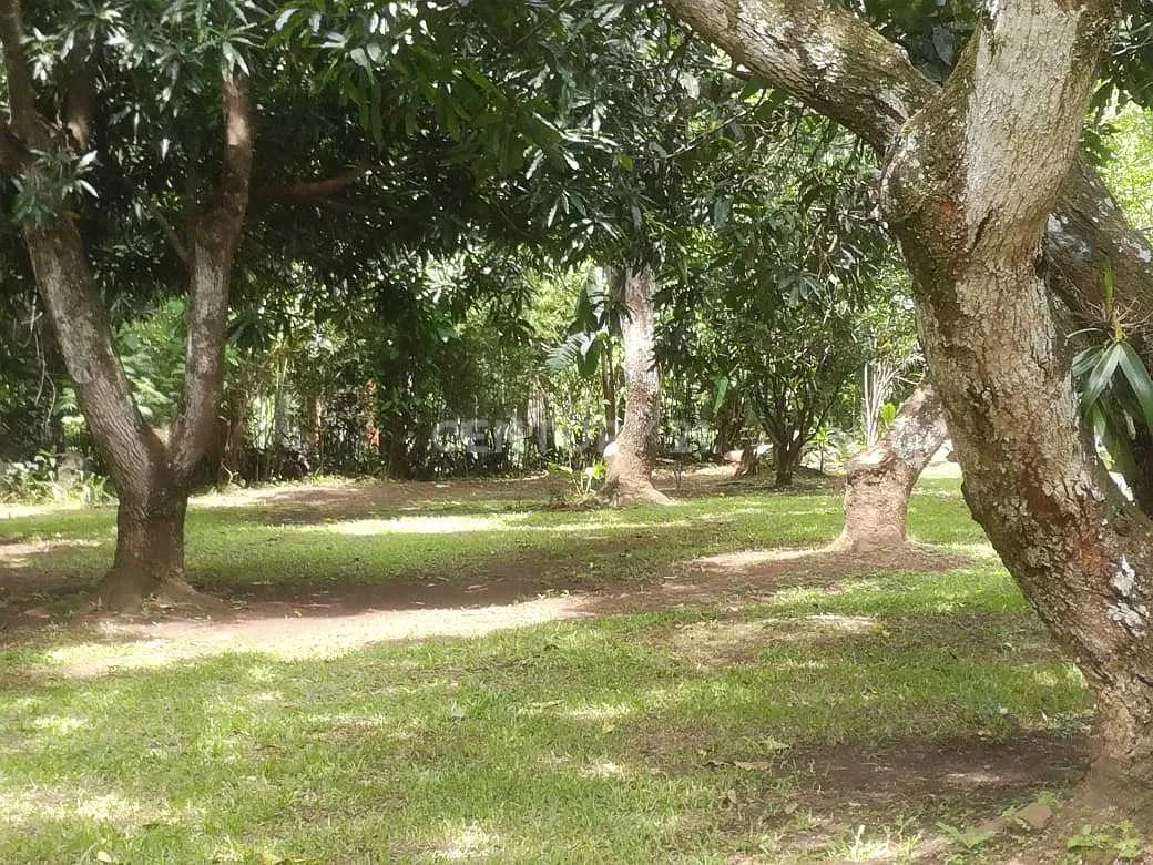 VENTA DE QUINTA EN LOS LAGOS DEL COYOL, PRECIO NEGOCIABLE - foto 2