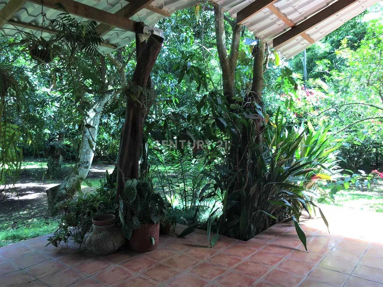 VENTA DE CASA UBICADA EN LOS LAGOS DEL COYOL, PRECIO NEGOCIABLE - foto 5