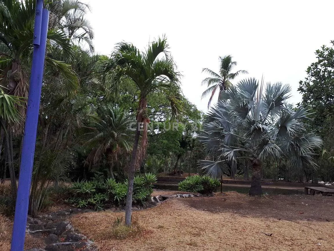 VENTA DE CASA 1000M2 EN SAN RAFAEL DE ALAJUELA - foto 5