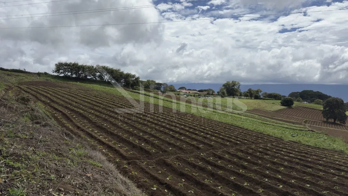 Venta de Lote en Paso Ancho de Oreamuno. - foto 2