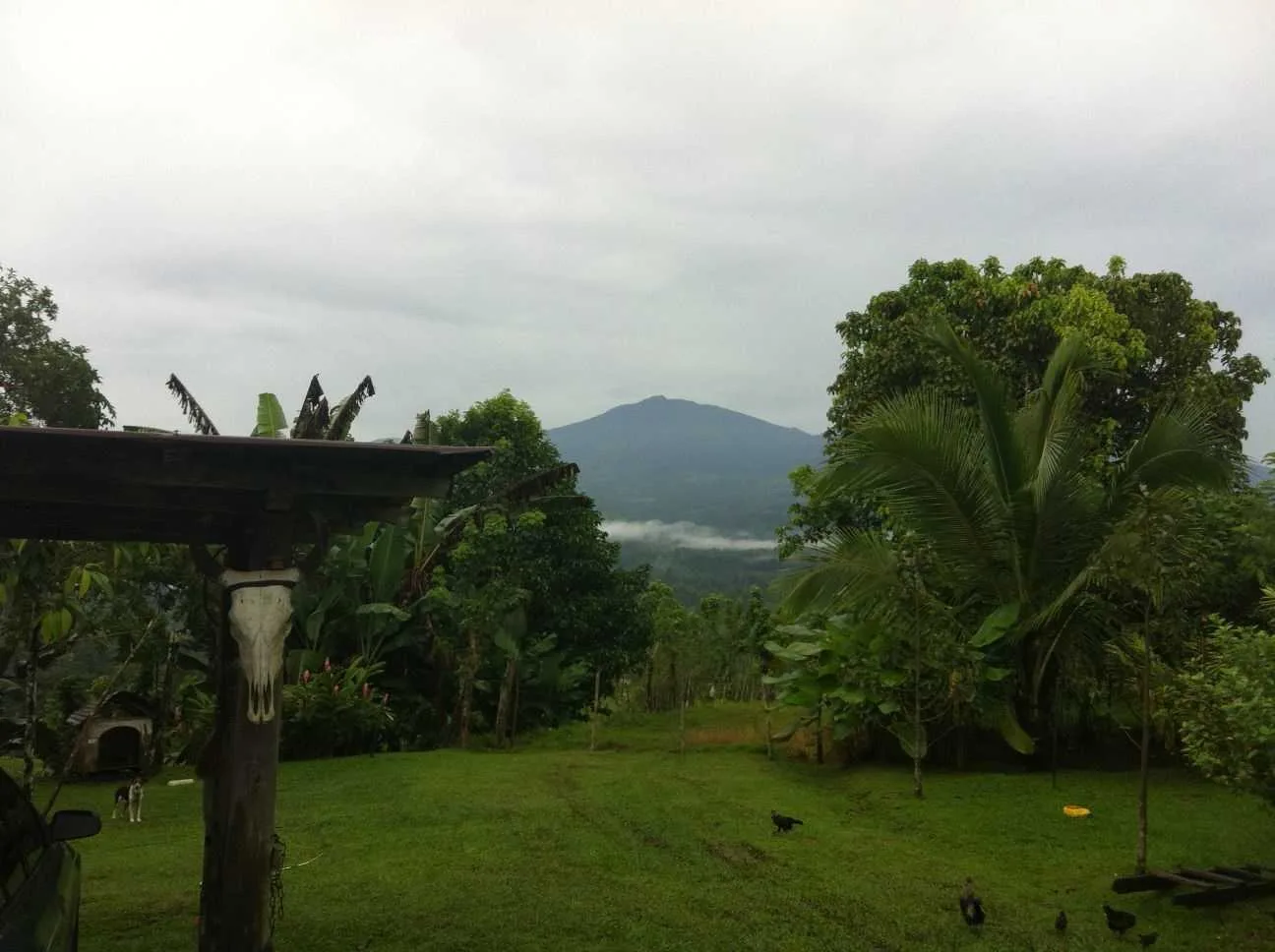 Vendo Terrreno en Linda Vista Siquirres El Limón 18 hectáreas - foto 3