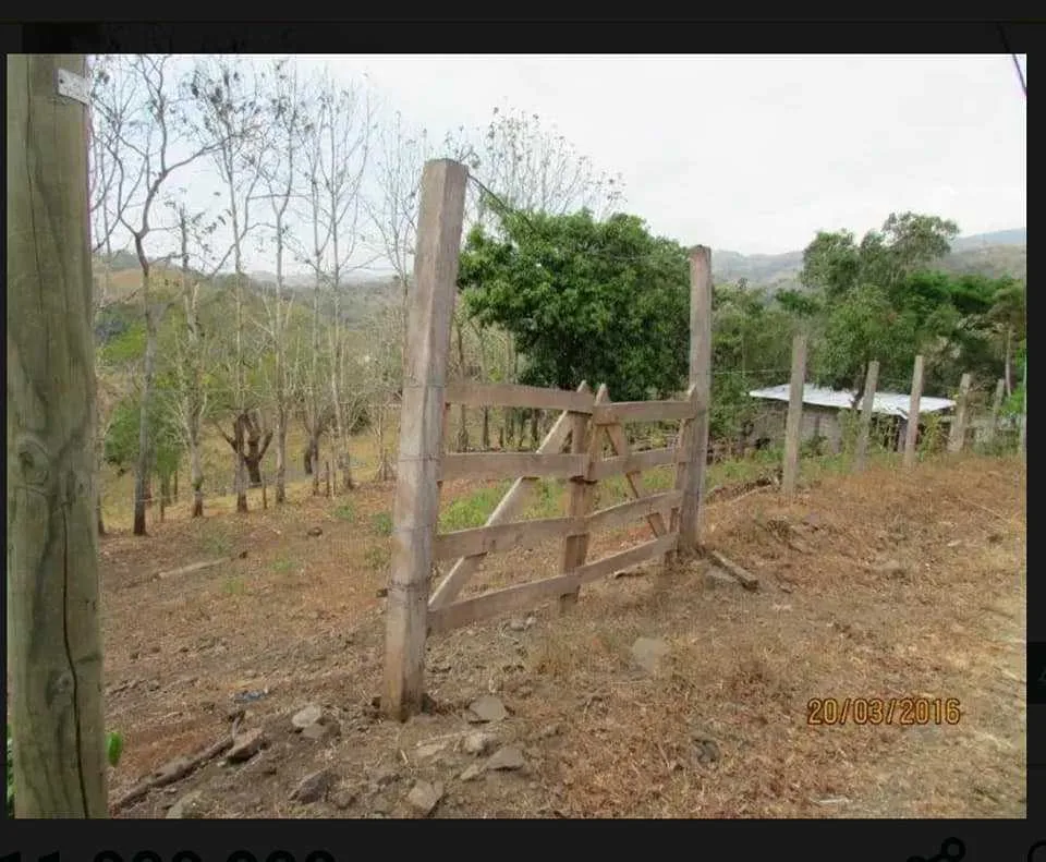 Santa Roca-Guacimal 930 m2 - foto 3