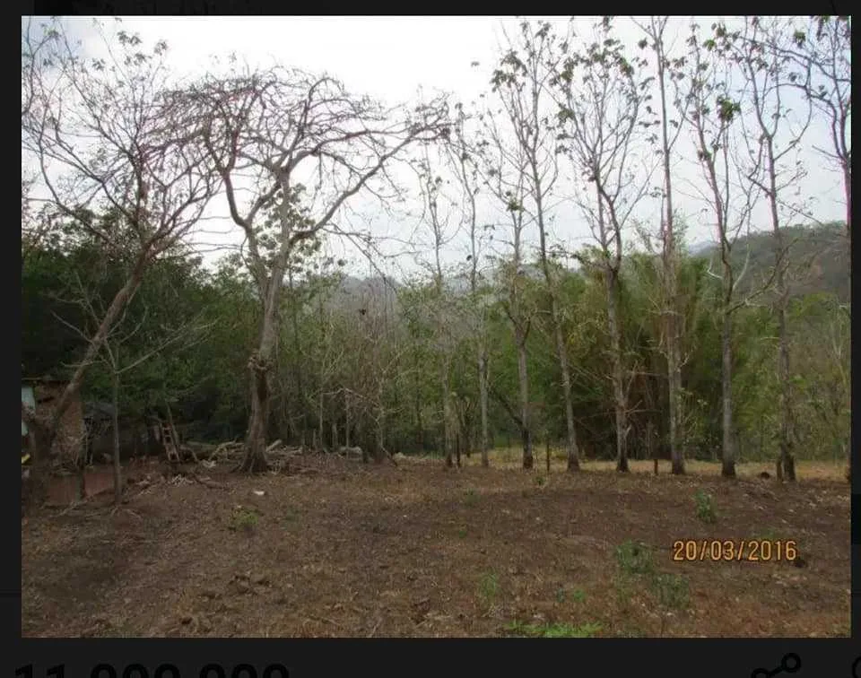 Santa Roca-Guacimal 930 m2 - foto 4