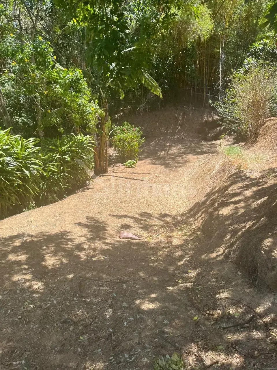 Venta de hermosa propiedad en Ciudad Colon - foto 3