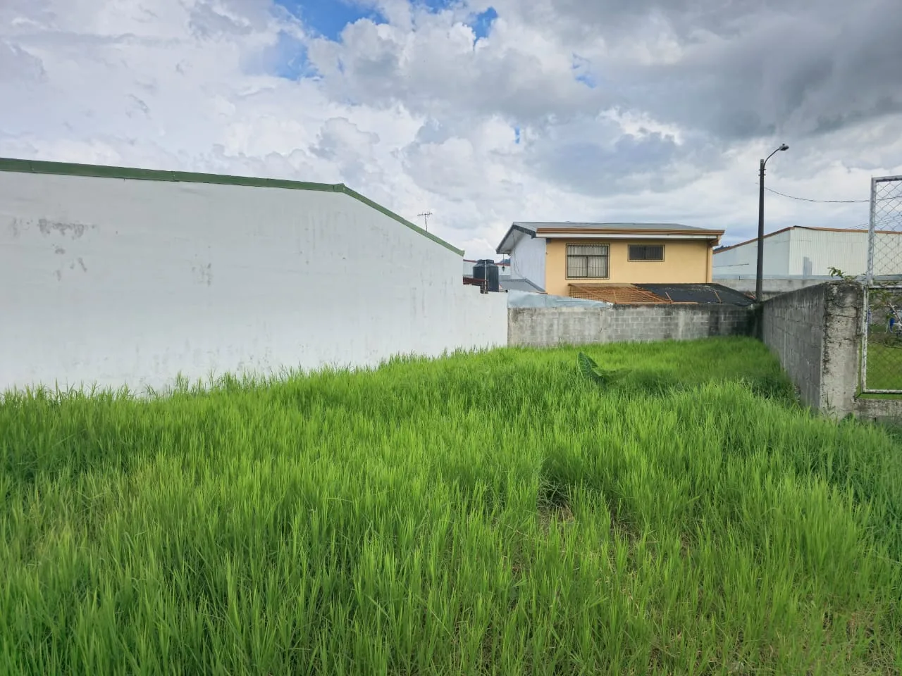Lote en venta la Pitahaya Cartago.