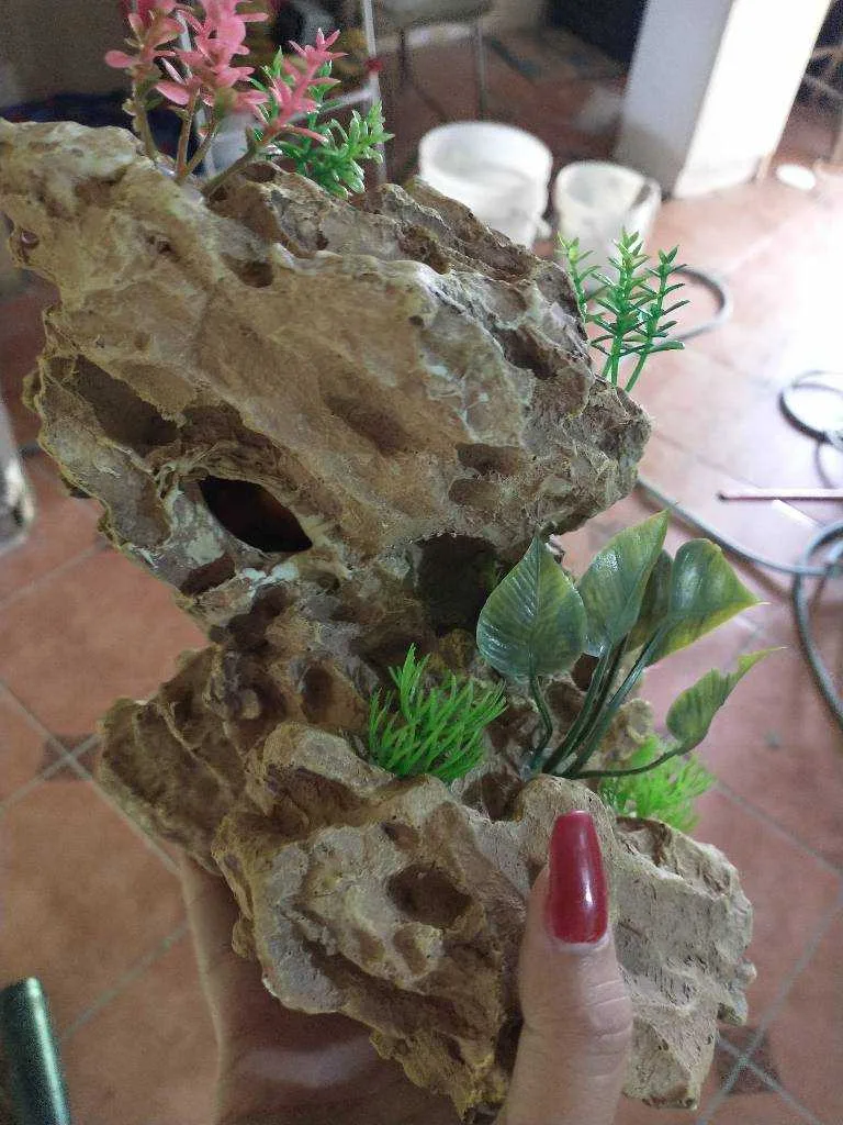 Combo de peceras completas y peces - foto 3