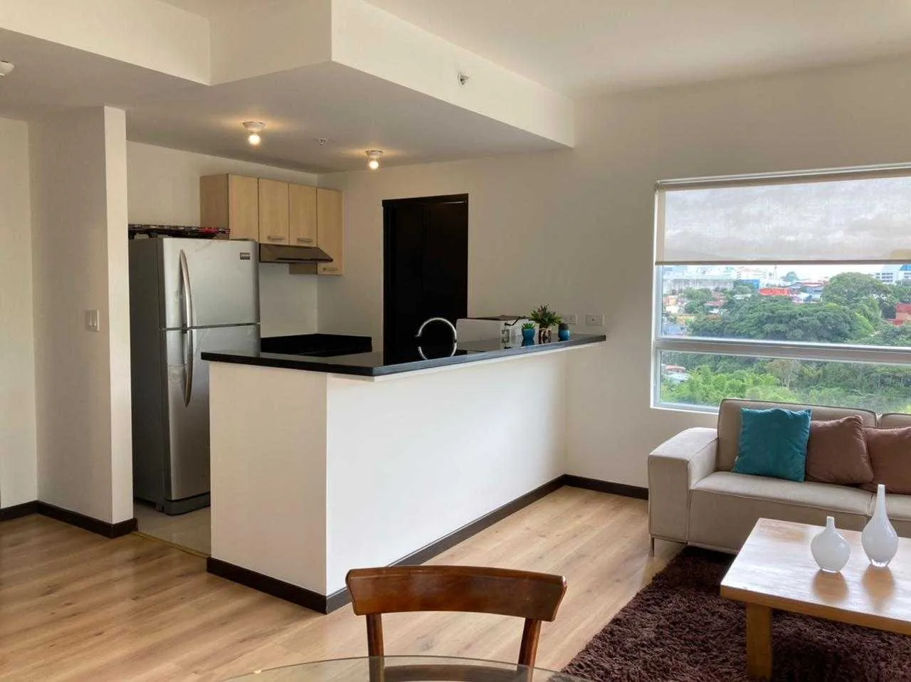 SE VENDE APARTAMENTO CONDADO DEL PARQUE - foto 2