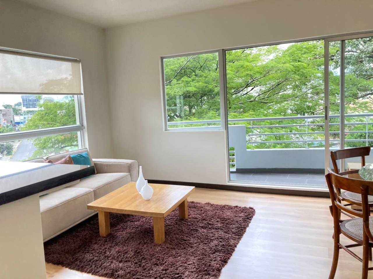 SE VENDE APARTAMENTO CONDADO DEL PARQUE - foto 4