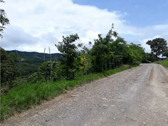 Lote residencial de 4270 m2 en venta, Villas Ecológicas, Ciudad Colón - foto 3