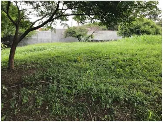 Lote independiente de 1000 m2 en Residencial Real de Pereira. Guachipelín Norte de Escazú - foto 5