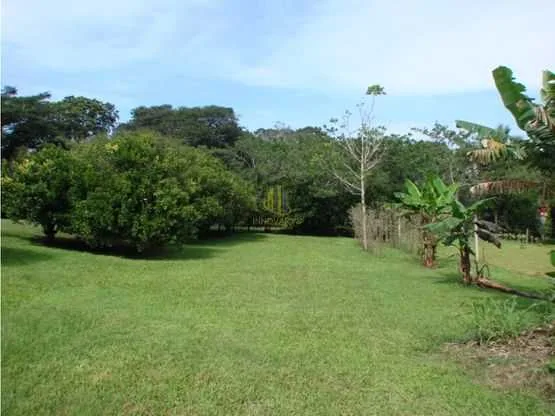 Lote con uso de suelo residencial a la venta, Ciudad Colón - foto 4