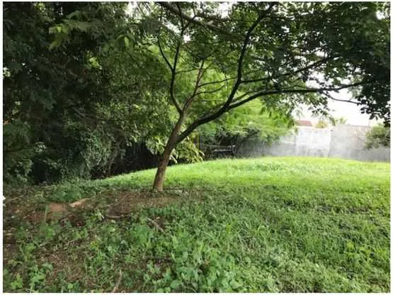 Lote independiente de 1000 m2 en Residencial Real de Pereira. Guachipelín Norte de Escazú - foto 3