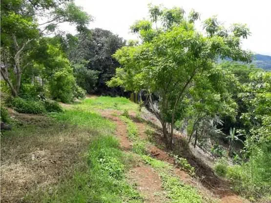 Lote residencial de 4270 m2 en venta, Villas Ecológicas, Ciudad Colón - foto 5