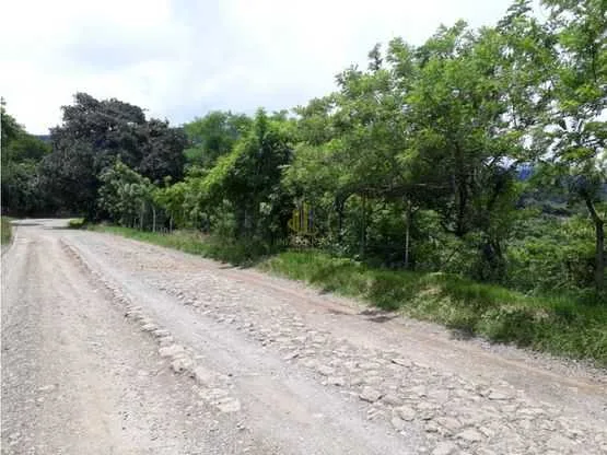 Lote residencial de 4270 m2 en venta, Villas Ecológicas, Ciudad Colón - foto 6