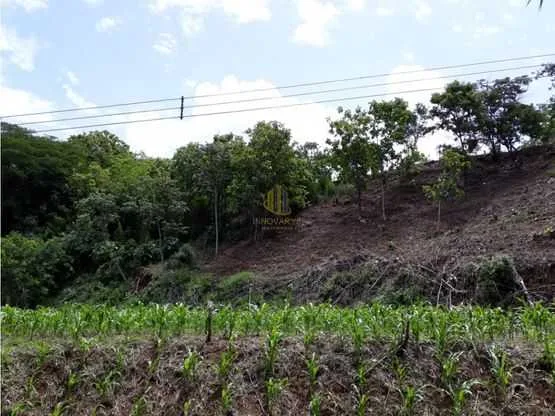 Lote residencial de 4270 m2 en venta, Villas Ecológicas, Ciudad Colón - foto 4