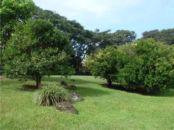 Lote con uso de suelo residencial a la venta, Ciudad Colón - foto 6