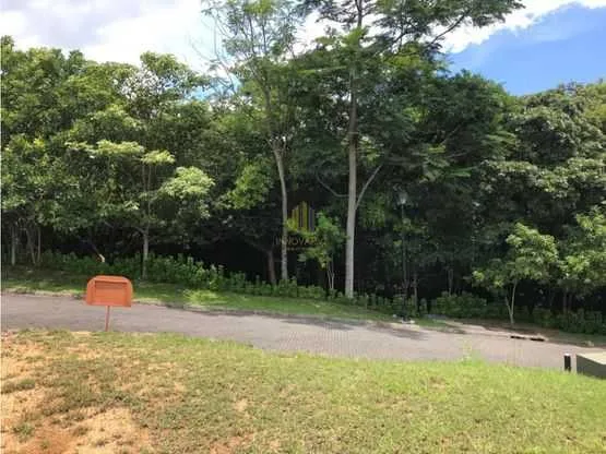 Lote residencial de 652 m2 en venta, Condominio Bosque Escondido. Brasil de Mora - foto 5