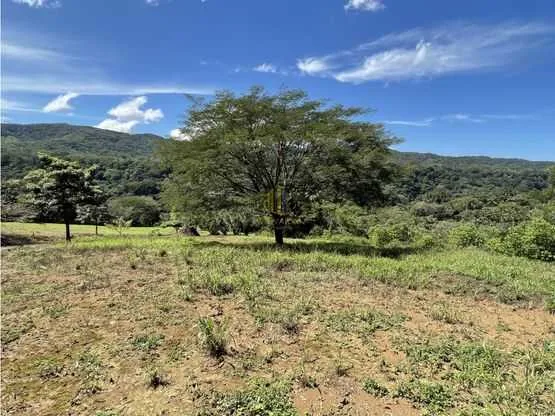 Lote residencial de 2999 m2 a la venta, Ciudad Colón - foto 6